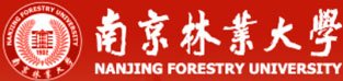 星空官方网站入口